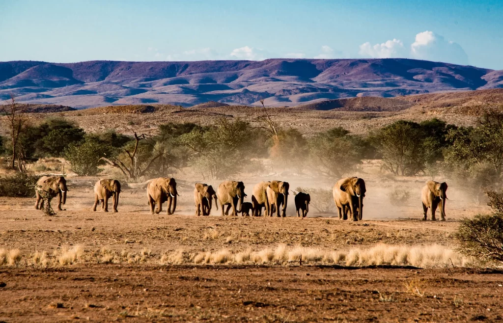 Etosha